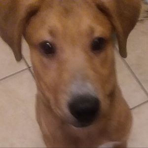 Meet your Posher, Candace